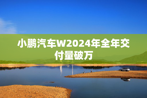 小鹏汽车W2024年全年交付量破万