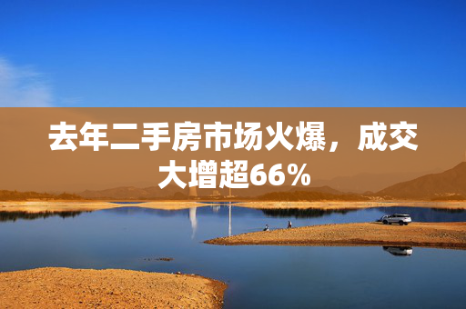 去年二手房市场火爆，成交大增超66%