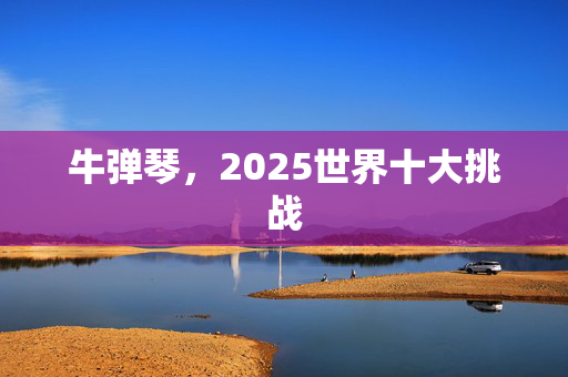 牛弹琴，2025世界十大挑战