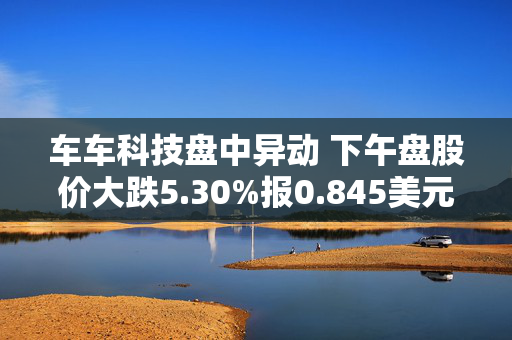 车车科技盘中异动 下午盘股价大跌5.30%报0.845美元