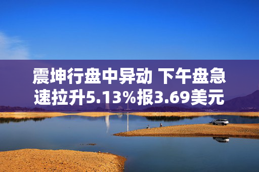 震坤行盘中异动 下午盘急速拉升5.13%报3.69美元