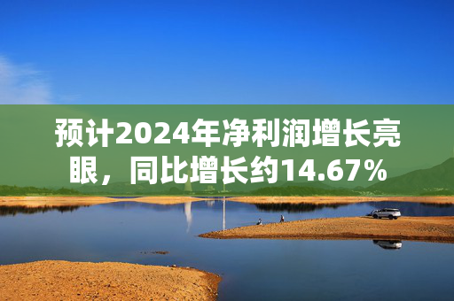 预计2024年净利润增长亮眼，同比增长约14.67%