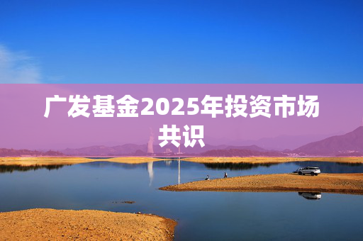 广发基金2025年投资市场共识