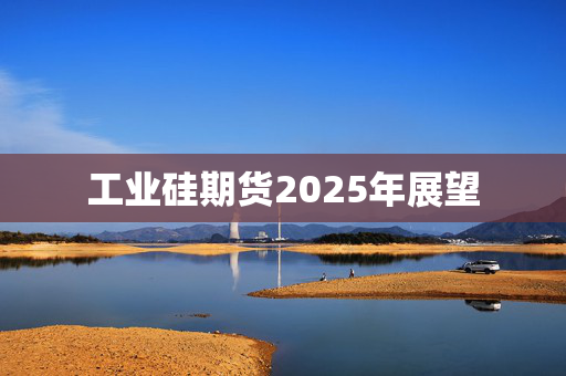 工业硅期货2025年展望