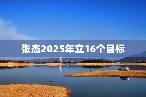 张杰2025年立16个目标