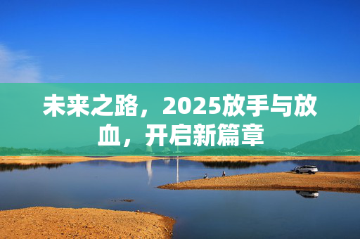 未来之路，2025放手与放血，开启新篇章