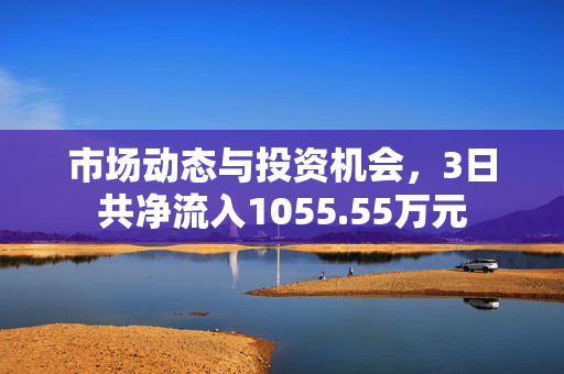 市场动态与投资机会，3日共净流入1055.55万元