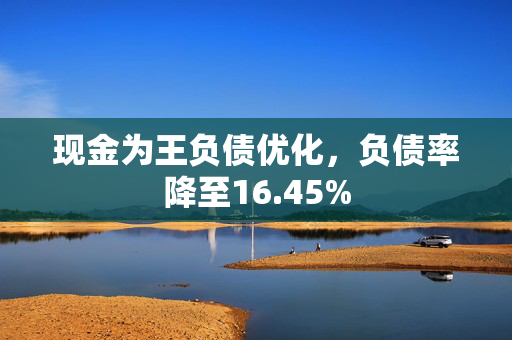 现金为王负债优化，负债率降至16.45%