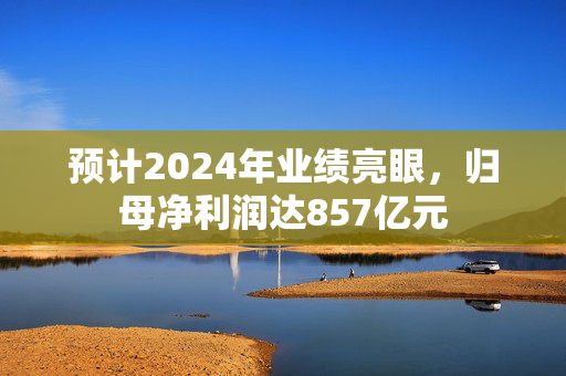 预计2024年业绩亮眼，归母净利润达857亿元