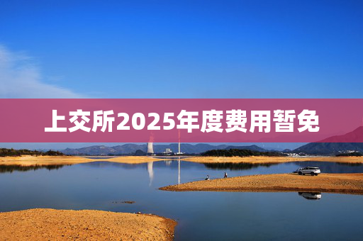 上交所2025年度费用暂免