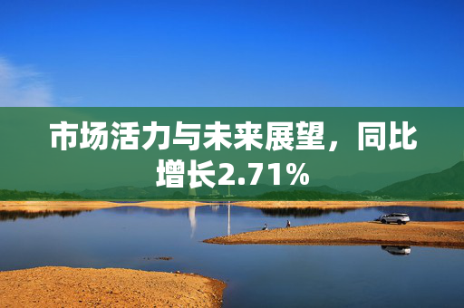 市场活力与未来展望，同比增长2.71%