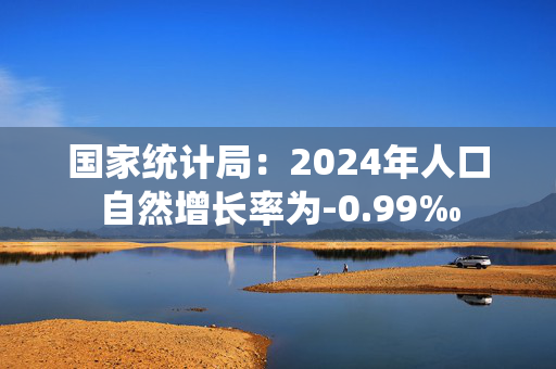 国家统计局：2024年人口自然增长率为-0.99‰