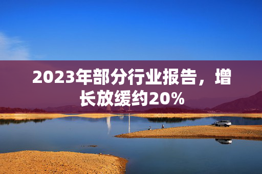 2023年部分行业报告，增长放缓约20%