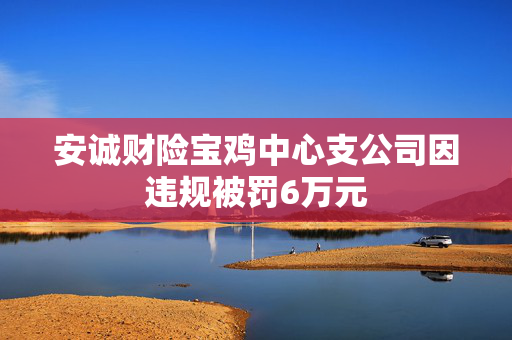 安诚财险宝鸡中心支公司因违规被罚6万元