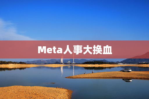 Meta人事大换血