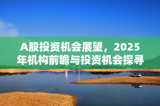 A股投资机会展望，2025年机构前瞻与投资机会探寻