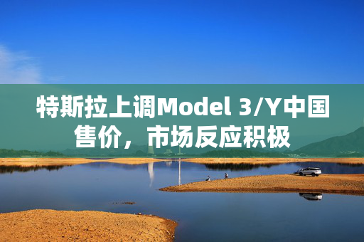 特斯拉上调Model 3/Y中国售价，市场反应积极