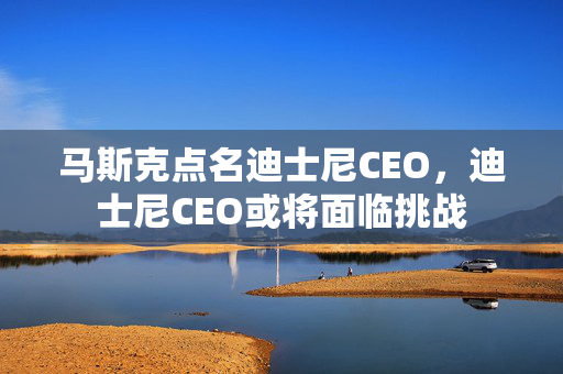 马斯克点名迪士尼CEO，迪士尼CEO或将面临挑战