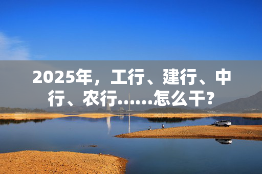 2025年，工行、建行、中行、农行……怎么干？