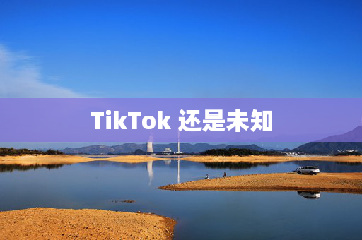 TikTok 还是未知