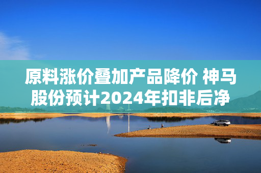 原料涨价叠加产品降价 神马股份预计2024年扣非后净利润12年来首亏