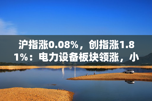 沪指涨0.08%，创指涨1.81%：电力设备板块领涨，小红书概念股再度回撤