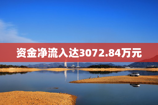 资金净流入达3072.84万元