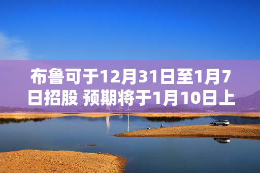 布鲁可于12月31日至1月7日招股 预期将于1月10日上市