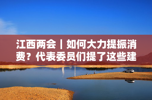 江西两会｜如何大力提振消费？代表委员们提了这些建议