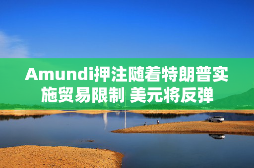 Amundi押注随着特朗普实施贸易限制 美元将反弹