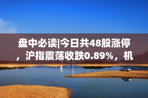 盘中必读|今日共48股涨停，沪指震荡收跌0.89%，机器人概念持续活跃