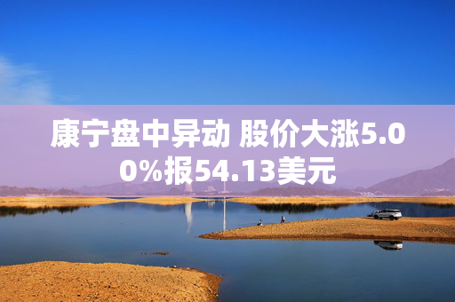 康宁盘中异动 股价大涨5.00%报54.13美元