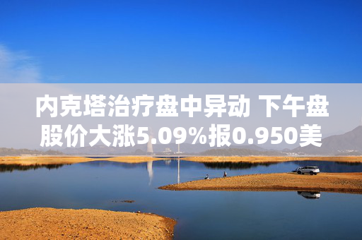 内克塔治疗盘中异动 下午盘股价大涨5.09%报0.950美元