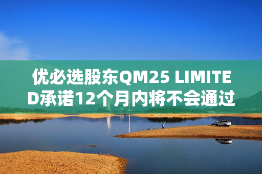 优必选股东QM25 LIMITED承诺12个月内将不会通过二级市场竞价模式出售所持股份