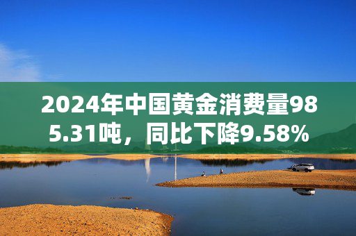 2024年中国黄金消费量985.31吨，同比下降9.58%