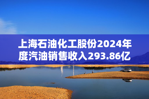 上海石油化工股份2024年度汽油销售收入293.86亿元