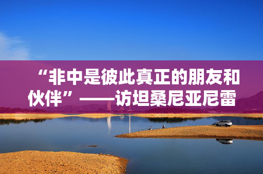 “非中是彼此真正的朋友和伙伴”——访坦桑尼亚尼雷尔基金会董事会主席布提库