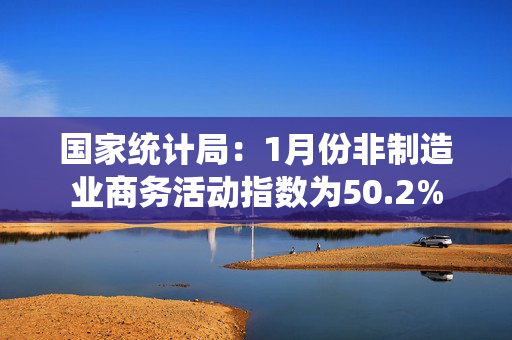 国家统计局：1月份非制造业商务活动指数为50.2%