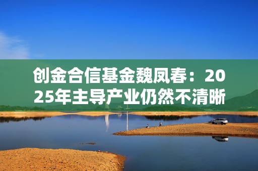 创金合信基金魏凤春：2025年主导产业仍然不清晰