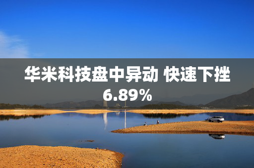 华米科技盘中异动 快速下挫6.89%