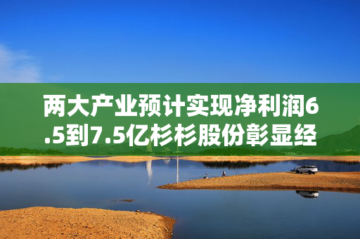 两大产业预计实现净利润6.5到7.5亿杉杉股份彰显经营韧性