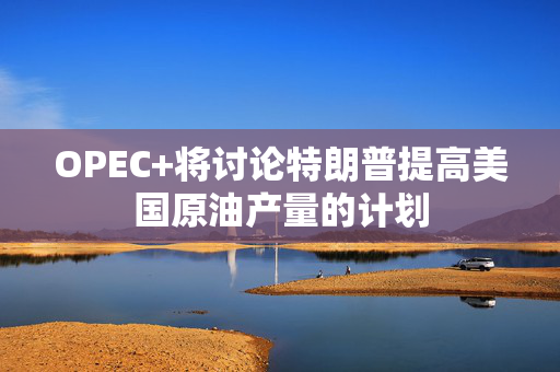 OPEC+将讨论特朗普提高美国原油产量的计划