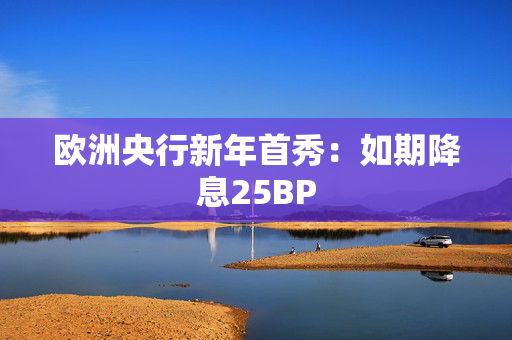 欧洲央行新年首秀：如期降息25BP