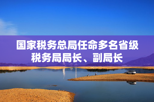 国家税务总局任命多名省级税务局局长、副局长