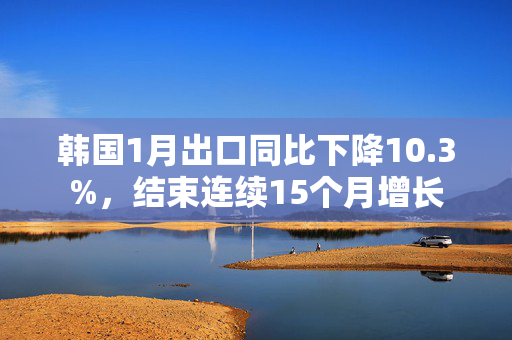 韩国1月出口同比下降10.3%，结束连续15个月增长