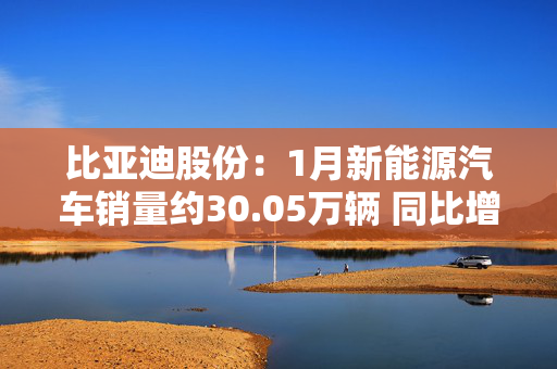 比亚迪股份：1月新能源汽车销量约30.05万辆 同比增长49.16%