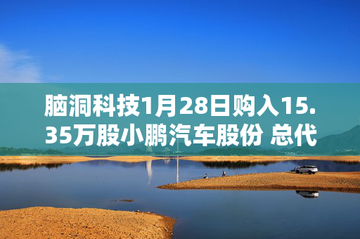 脑洞科技1月28日购入15.35万股小鹏汽车股份 总代价约230万美元