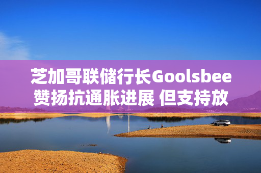 芝加哥联储行长Goolsbee赞扬抗通胀进展 但支持放缓降息步伐