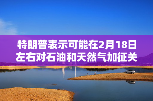 特朗普表示可能在2月18日左右对石油和天然气加征关税