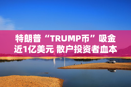 特朗普“TRUMP币”吸金近1亿美元 散户投资者血本无归